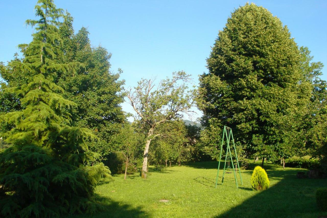 Apartmani Aldo Roč Exteriör bild